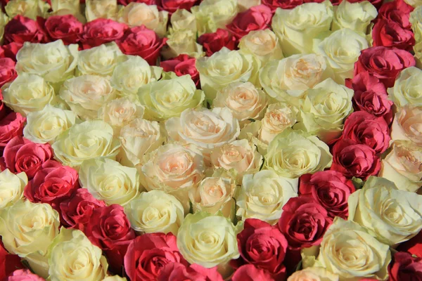 Roses dans différentes nuances de rose, arrangement nuptial — Photo