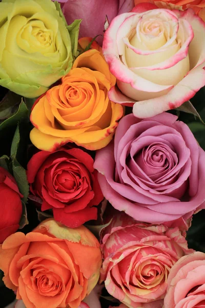 Різнокольорові весілля троянд — стокове фото