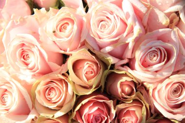 Gelin bir aranjman pembe güller