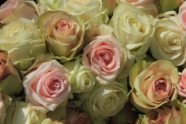 Weiße und rosa Rosen im Hochzeitsarrangement — Stockfoto