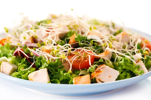 Vegetable salad with roasted chicken meat — Stock Photo, Image