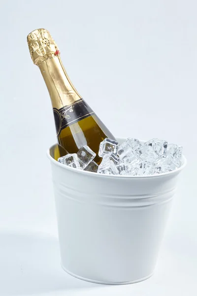 Sticlă de șampanie în găleată — Fotografie, imagine de stoc