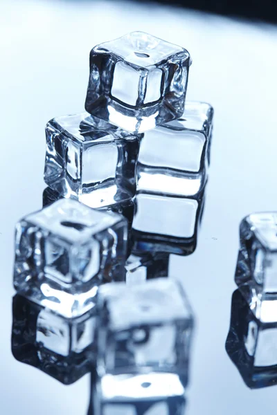 Cubes de glace humides — Photo
