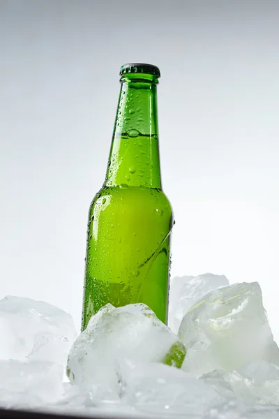 Пляшка пива в льоду — стокове фото