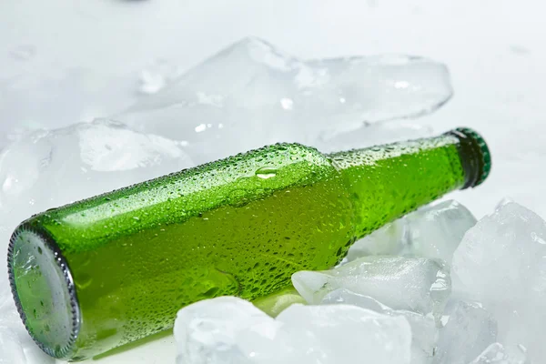 Bierfles in ijs — Stockfoto