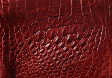 Kırmızı timsah deri