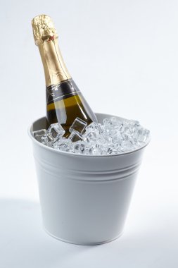 Şampanya şişesi kovada