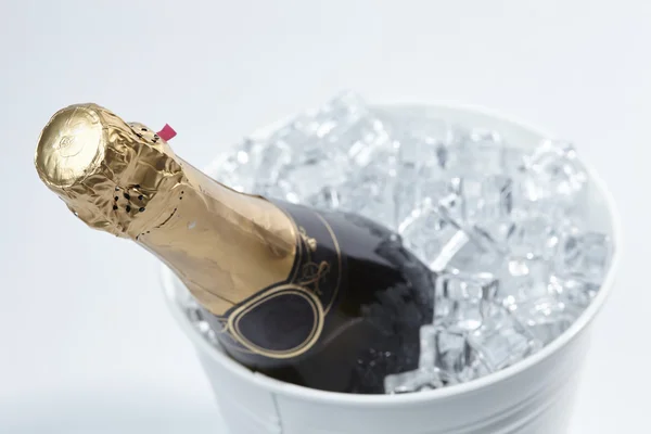 Champagne flaska i en hink — Stockfoto