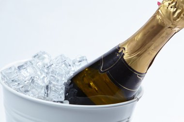 şişe şampanya buz ile kova