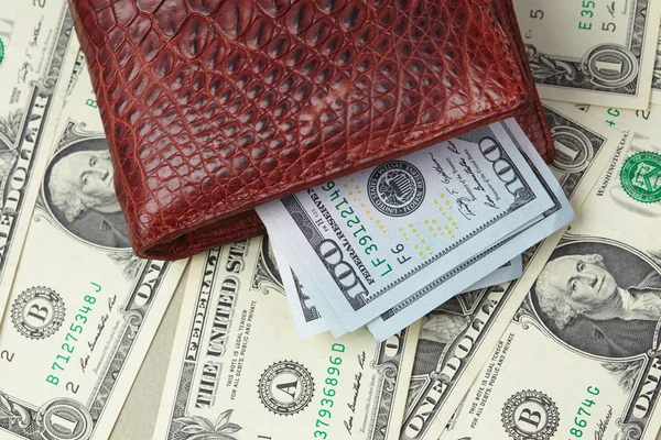 Δερμάτινο πορτοφόλι με χρήματα — Φωτογραφία Αρχείου