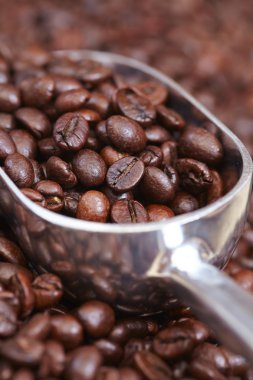 Kavrulmuş kahve çekirdeği.