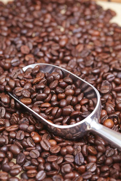 Brown coffee beans — Stock Photo, Image