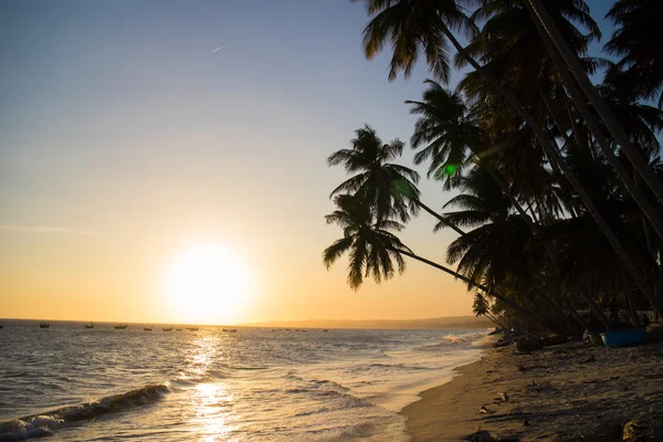 Hermosa puesta de sol en la playa — Foto de Stock