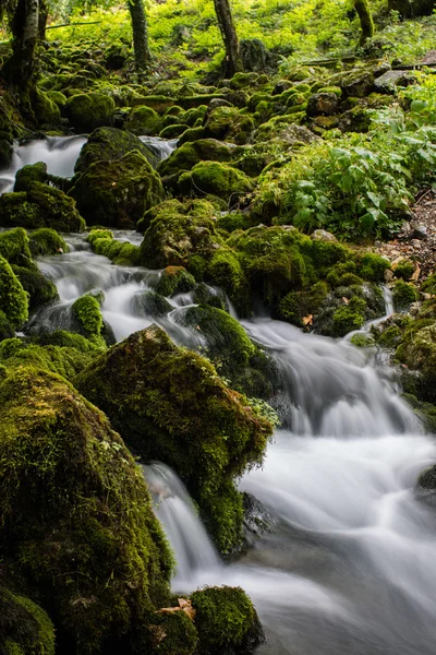 Schöner Bach im Wald — Stockfoto