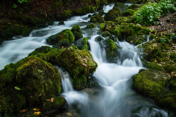 Beautiful stream in the forest — Stock Photo, Image