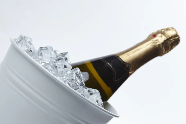 Champagne bottle in a bucket — Stock Photo, Image
