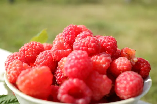在碗里的野草莓 — 图库照片
