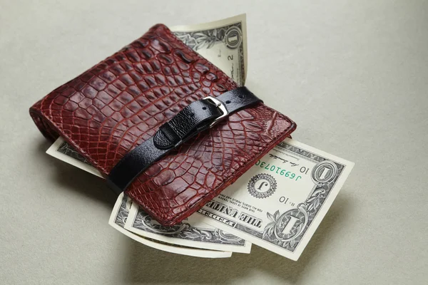 Wallet  with belt — Stock Photo, Image