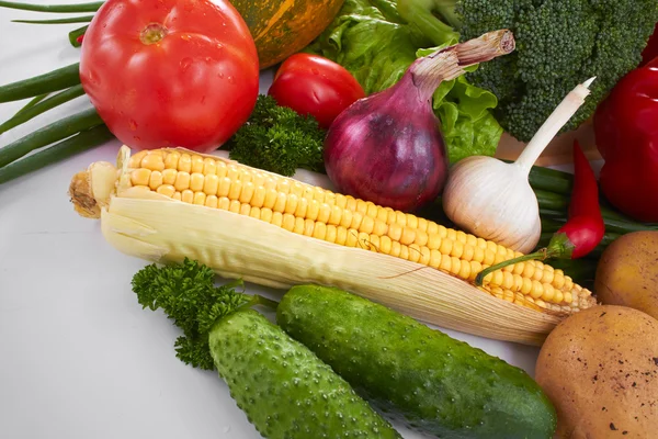 Ny samling av grönsaker — Stockfoto