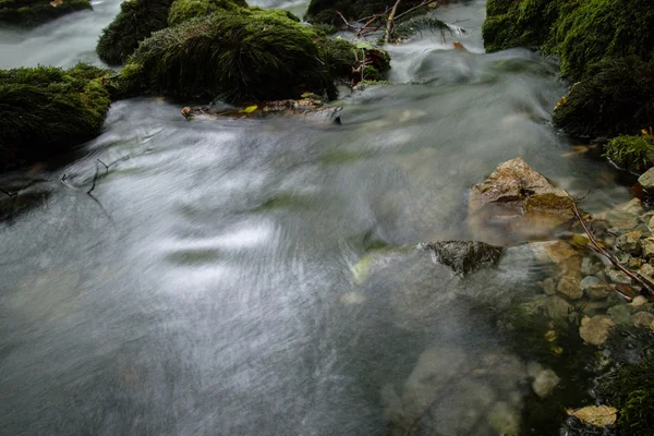 Мальовничий Вид Холодну Воду Літнього Потоку — стокове фото
