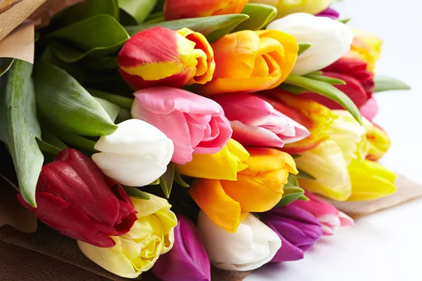 Leuchtend bunte Tulpen — Stockfoto