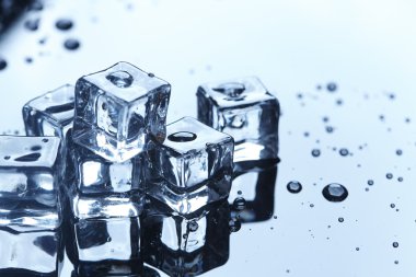 Islak buz küpleri