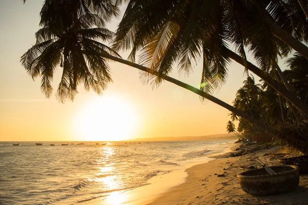 Sonnenuntergang am tropischen Strand — Stockfoto