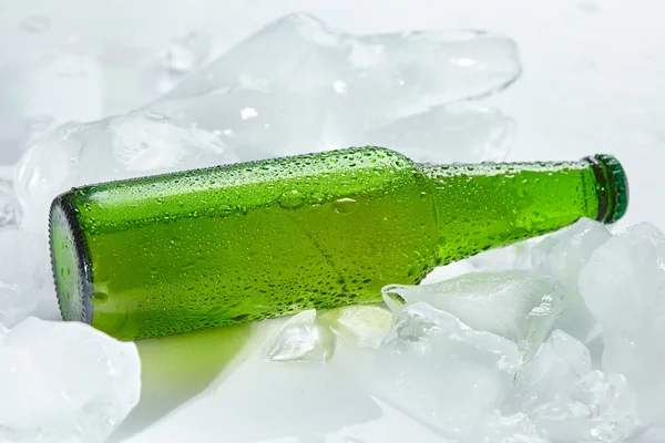 Grön öl flaska — Stockfoto