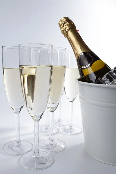 Holiday champagne glas — Stockfoto