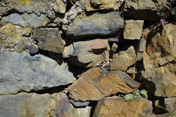 Old Rock Wall Texture Sunny Day — Stock Photo, Image