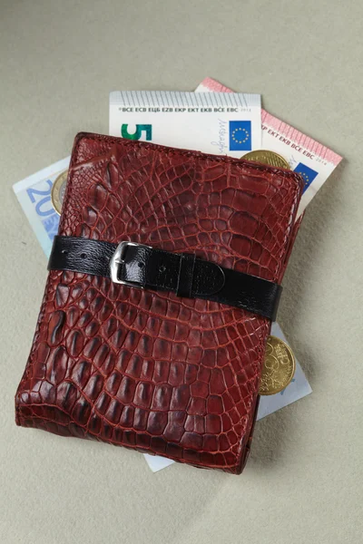 Кошелек с деньгами евро — стоковое фото
