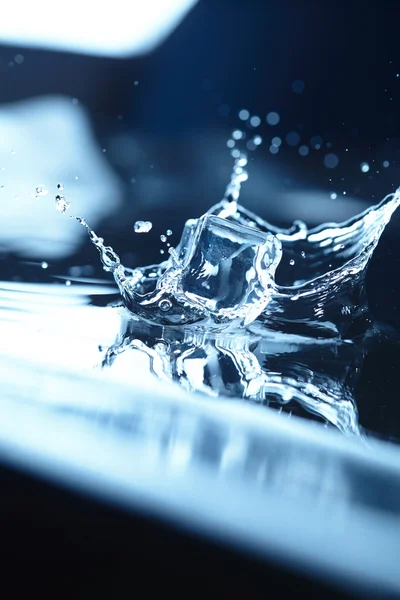 Ice cubes with water splash — Stock Photo, Image