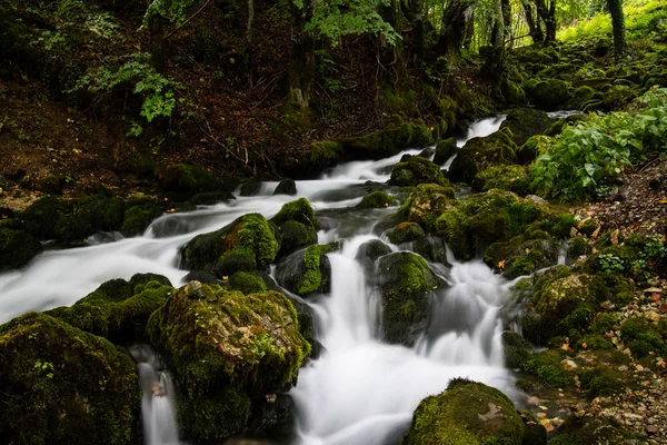 Beautiful stream in the forest — Stock Photo, Image