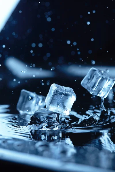 ice cubes with water splash
