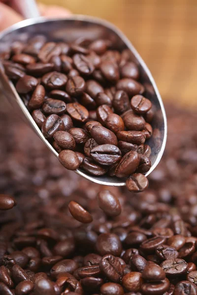 Kaffebönor i sked — Stockfoto