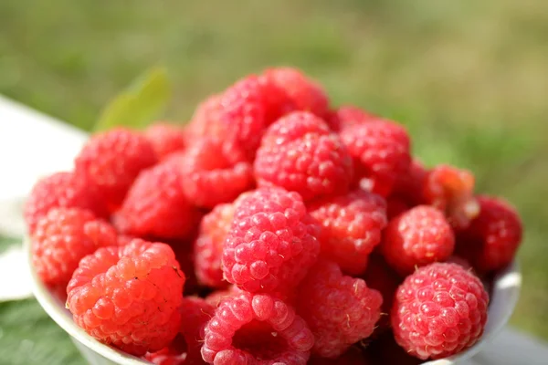 Verse rijpe frambozen — Stockfoto