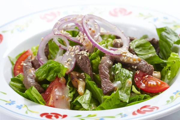 Heerlijk vlees salade — Stockfoto