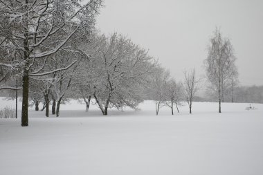 Parkın kış manzarası
