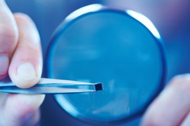 El tutma mikroçip cımbız ile 