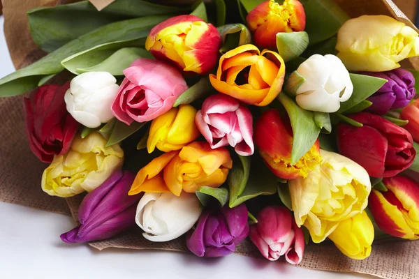 Ładne kolorowe tulipany — Zdjęcie stockowe