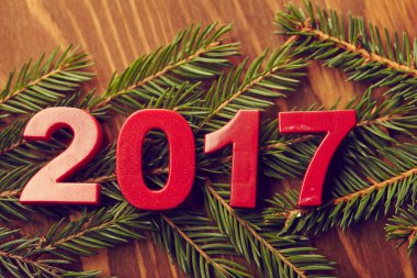 2017 yeni yıl sembolü ile köknar ağacı 