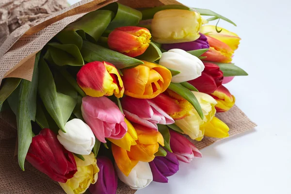 Schöne bunte Tulpen — Stockfoto