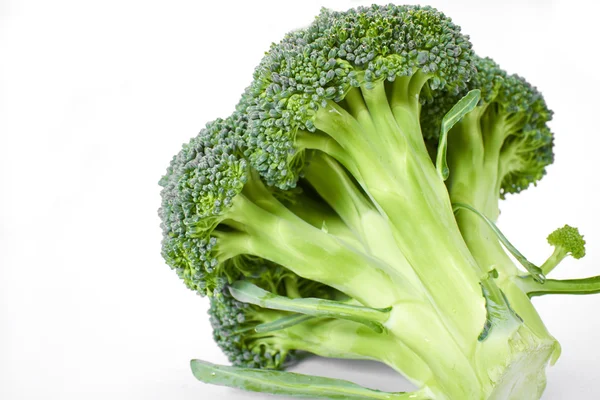 Fresh green broccoli — Stock Photo, Image