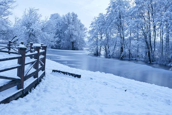 Beautiful Snow Covered Winter Park Early Morning — Stock Photo, Image