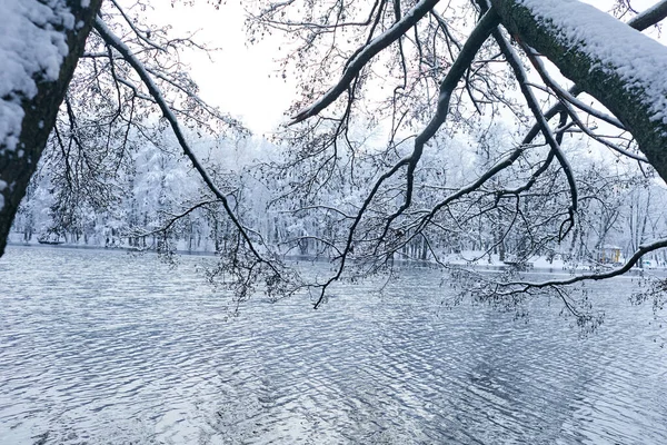 清晨美丽的白雪覆盖的冬季公园 — 图库照片
