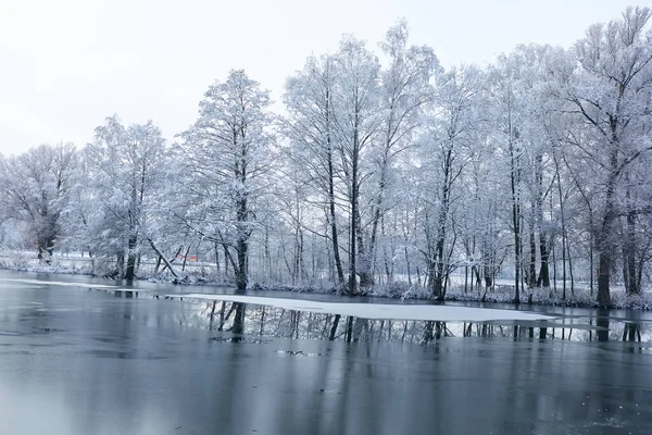 美丽的冬季公园风景如画 — 图库照片