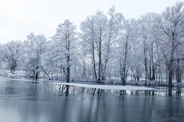 Malebný Výhled Krásný Zimní Park — Stock fotografie