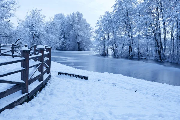 Vista Pittoresca Del Bellissimo Parco Invernale — Foto Stock