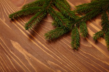 Ahşap arka planda köknar dalı, yeni yıl konsepti,