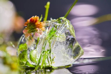 Tabakta çiçekler ve yapraklar, yakın görüş. 